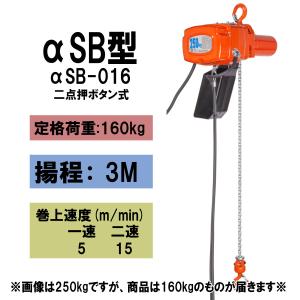 象印チェンブロック 単相100V電気チェーンブロック アルフアSB-01-6M(ASB-K1060) 象印チェンブロック α型 単相小型電気チェーンブロック（二速型[固定]） 100～110V用 αSB-01 品番：ASB-K1060
