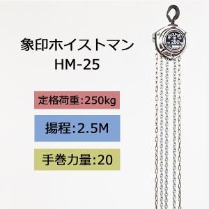 象印（ZOJIRUSHI） チェーンブロック HM型 ホイストマン HM-25 250kg 