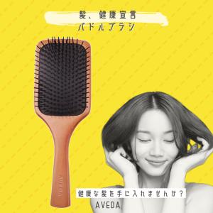 aveda アヴェダ  パドルブラシ ヘアブラシ メンズ レディース