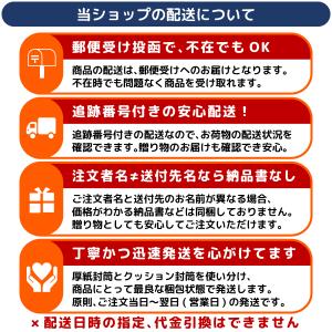 ビックリマンシール A5 ファイル (180枚...の詳細画像5