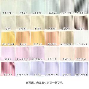 2mmホワイトストライプ 国産オックス/ブロー...の詳細画像5