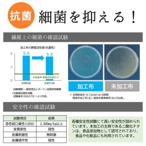 国産カラーオックス 無地 抗菌消臭抗アレルゲン...の詳細画像3
