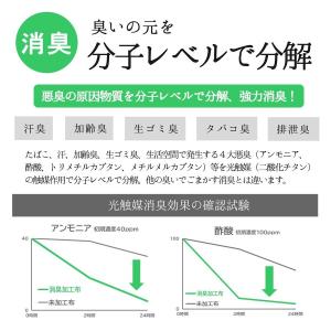 国産カラーオックス 無地 抗菌消臭抗アレルゲン...の詳細画像4