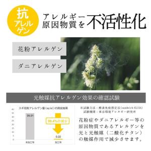 国産カラーオックス 無地 抗菌消臭抗アレルゲン...の詳細画像5