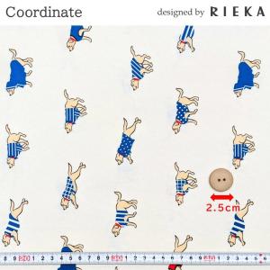 Cooedinate 国産オックス/ブロード/...の詳細画像2