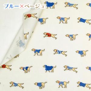 Cooedinate 国産オックス/ブロード/...の詳細画像3