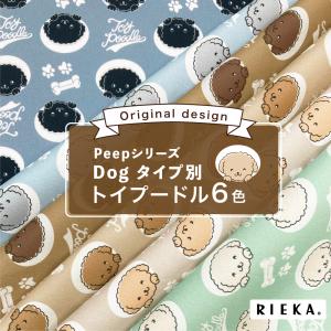 Dogタイプ別トイプードル 国産オックス/ブロー...の商品画像