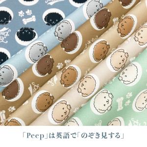Dogタイプ別トイプードル 国産オックス/ブロ...の詳細画像1