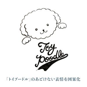 Dogタイプ別トイプードル 国産オックス/ブロ...の詳細画像2
