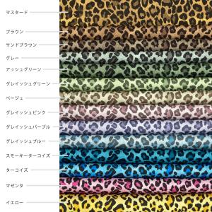 レオパレードgradation 国産オックス/...の詳細画像2