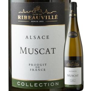 菊鹿 シャルドネ 樽熟成 2022 13度 750ml 熊本ワイン 日本ワイン 白