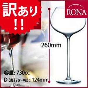 RIEDEL（リーデル） レーマン(LEHMANN) ワイングラス エノマスト