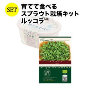 ルッコラ 栽培の商品一覧 通販 Yahoo ショッピング