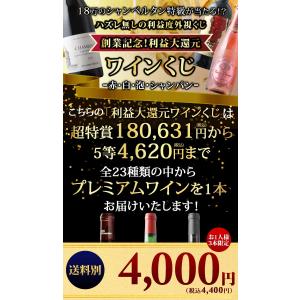 【WEB限定】ワイン ワインくじ 利益大還元ワ...の詳細画像2
