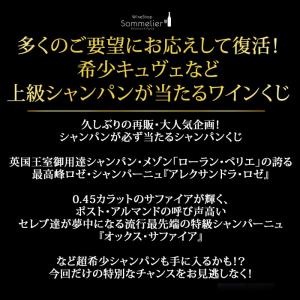 【WEB限定】ワイン シャンパン・スパークリン...の詳細画像1