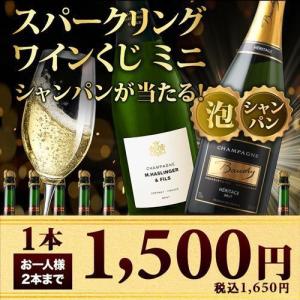 ワイン シャンパン・スパークリングワイン ワインくじ スパークリングワインくじミニ (シャンパン・スパークリング)【数量・期間限定】 爆買 お中元