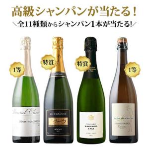 ワイン シャンパン・スパークリングワイン ワイ...の詳細画像1