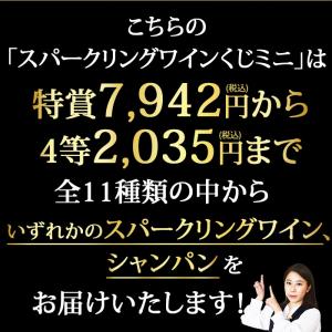 ワイン シャンパン・スパークリングワイン ワイ...の詳細画像2