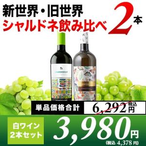 ワイン ワインセット 白ワイン 辛口白ワイン6本セット 第87弾 送料無料