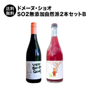 ワイン ワインセット 「40セット限定」ドメーヌ・ショオSO2無添加自然派2本セットB（赤ワイン、スパークリングワイン） 日本 送料無料｜wsommelier