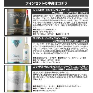 ワイン ワインセット 白ワイン 高品質白3本セ...の詳細画像2