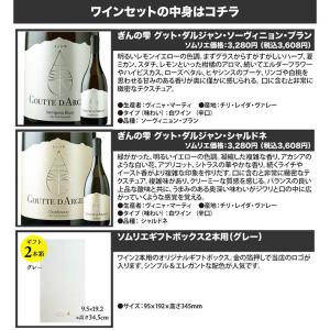 ワイン 白ワインセット 日本酒酵母をつかった革...の詳細画像2
