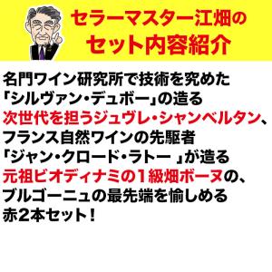 ワイン ワインセット 赤ワイン「16」ジュヴレ...の詳細画像2