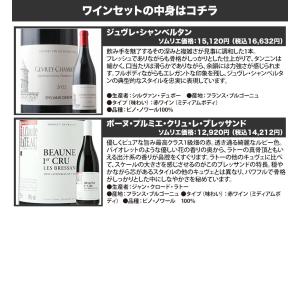 ワイン ワインセット 赤ワイン「16」ジュヴレ...の詳細画像3