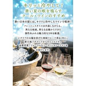 ワイン ワインセット 白ワイン 冷やして美味し...の詳細画像2