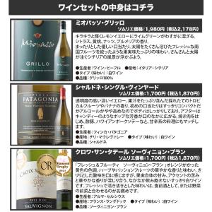 ワイン ワインセット 白ワイン 冷やして美味し...の詳細画像3