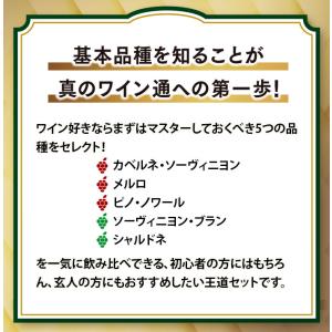 まずはこれ。王道品種飲み比べ赤白5本セット(赤...の詳細画像2