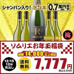 ワイン ワインセット スパークリングワイン シャンパン入り！スパークリングワイン5本福袋 送料無料 スパークリングワインセット SALE福袋