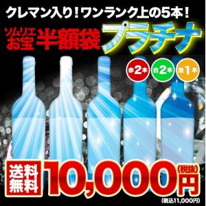 ワイン ワインセット ソムリエお宝半額袋・プラチナ（赤ワイン2本、白ワイン2本、スパークリングワイン1本） 送料無料