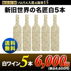SALE 白ワインセット「15」他店圧倒！ソムリエ大還元福袋・新旧世界の名匠白5本