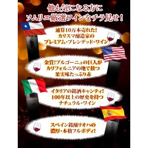 ワイン ワインセット 赤ワイン 贅沢アウトレッ...の詳細画像4