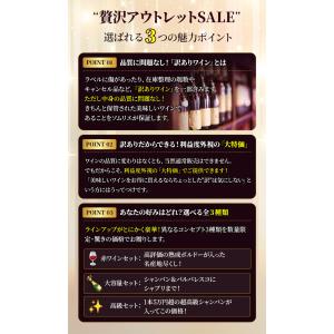 ワイン ワインセット 赤ワイン 贅沢アウトレッ...の詳細画像5