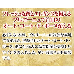 ワイン ワインセット 赤ワイン 秘密のアウトレ...の詳細画像2