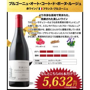 ワイン ワインセット 赤ワイン 秘密のアウトレ...の詳細画像3