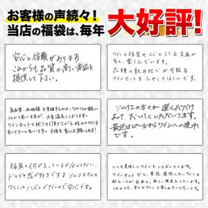 ワイン ワインセット 赤ワイン 秘密のアウトレ...の詳細画像5