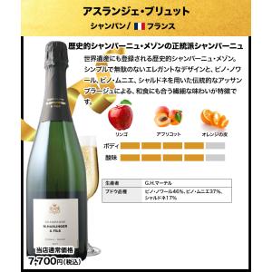 ワイン ワインセット 贅沢アウトレット福袋〜シ...の詳細画像3