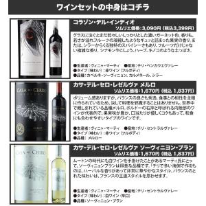 ワイン ワインセット 名醸造家ヴィニャ・マーテ...の詳細画像1