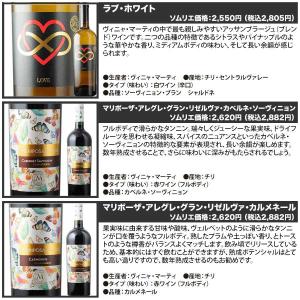 ワイン ワインセット 名醸造家ヴィニャ・マーテ...の詳細画像2