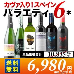 ワイン ワインセット カヴァ入り！スペインバラエティー6本セット 第21弾 送料無料 泡2本＆白1本＆赤3本「3/22更新」｜wsommelier