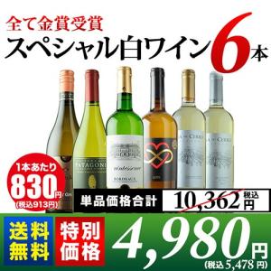 白ワインセット 10周年記念特別セット！全て金賞受賞スペシャル白ワイン6本セット