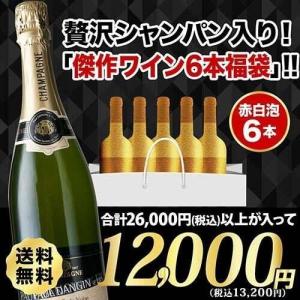 ワイン ワインセット ミックス 「年に一度の総決算袋」シャンパン入り！傑作ワイン6本福袋