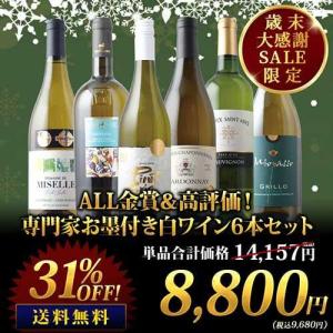 ワイン ワインセット 白ワイン ALL金賞＆高評価！専門家お墨付き白ワイン6本セット