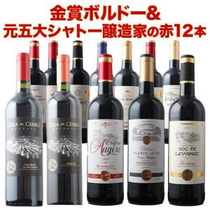ワイン ワインセット 赤ワイン 16周年記念!...の詳細画像1
