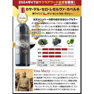 ワイン ワインセット 赤ワイン 16周年記念!...の詳細画像4
