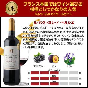 ワイン ワインセット 赤ワイン 17周年記念!...の詳細画像5