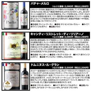 ワイン ワインセット 赤ワイン 当店ソムリエが...の詳細画像3